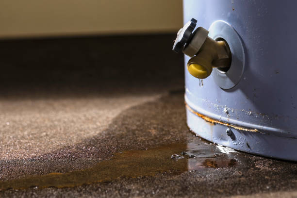 Best Commercial water damage restoration  in Fortville, IN