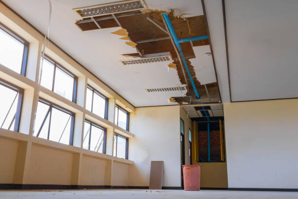 Best Local water damage restoration  in Fortville, IN