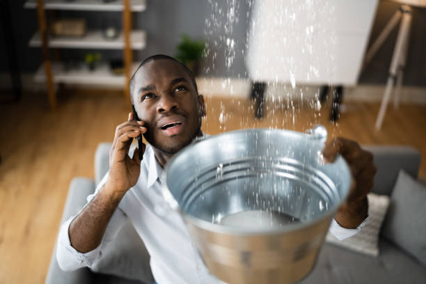 Best Carpet water damage restoration  in Fortville, IN