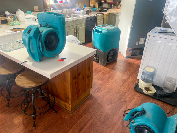 Best Flooded house restoration  in Fortville, IN
