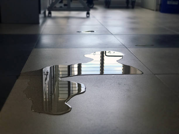 Best Water damage restoration near me  in Fortville, IN