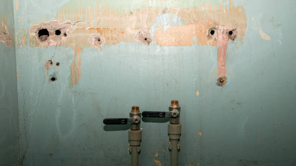 Best Water damage restoration company  in Fortville, IN