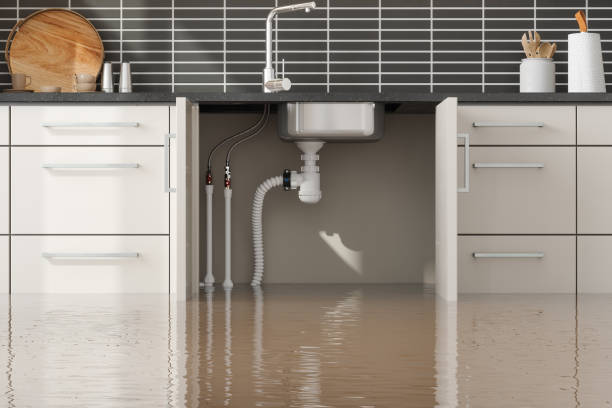 Best Water damage restoration near me  in Fortville, IN