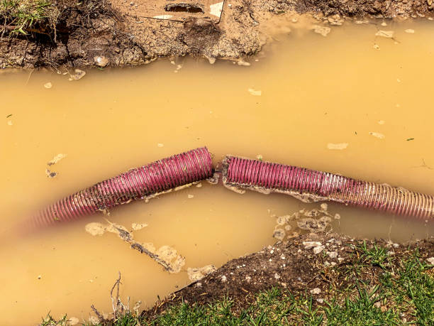 Best 24-hour water damage restoration  in Fortville, IN