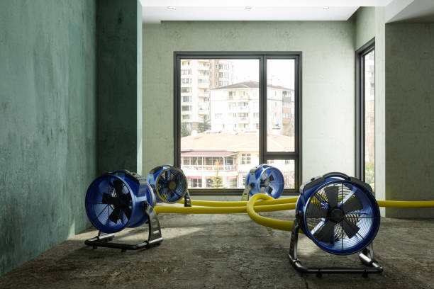 Trusted IN Water damage restoration Experts