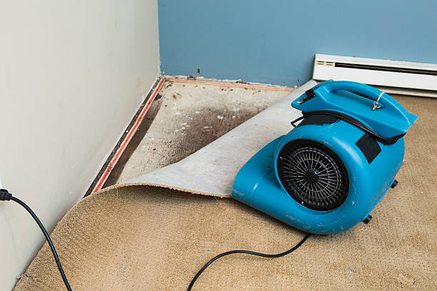 Best Ceiling water damage repair  in Fortville, IN