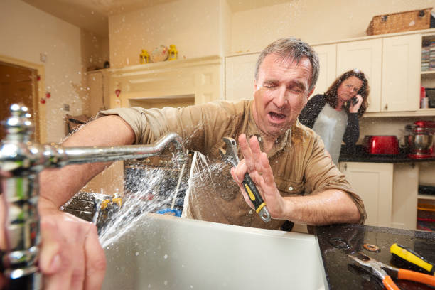 Best Professional water damage repair  in Fortville, IN